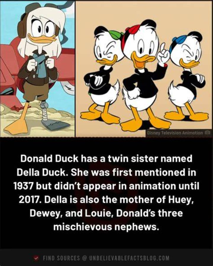 Who is Donald Duck sister? – Celebrity