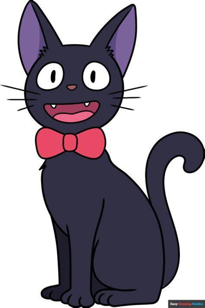 Who is Jiji the cat? – Celebrity