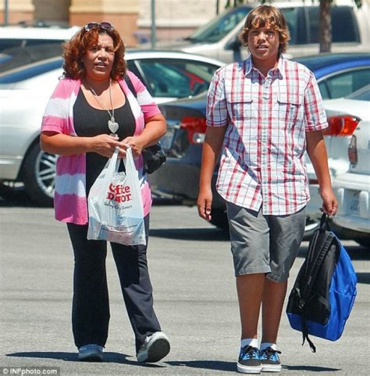 Who is Mildred Baena; Arnold Schwarzenegger's baby mama?