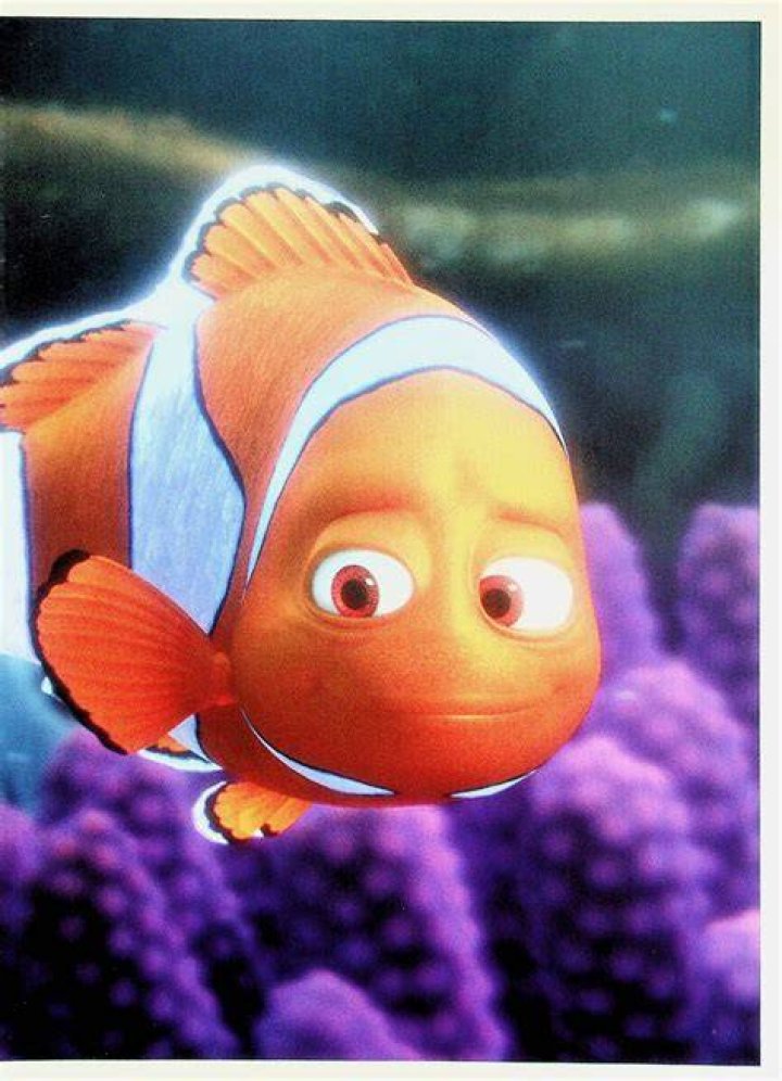 Who is nemos dad? – Celebrity