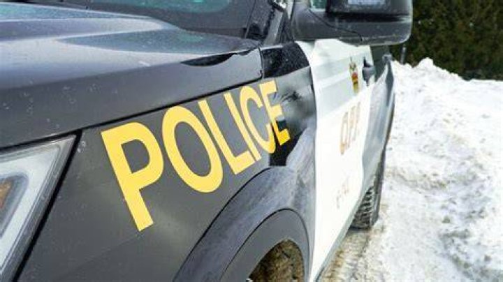 Who Was Drew Nadeau?  Off-duty Ottawa A police officer died in Highway 7 accident