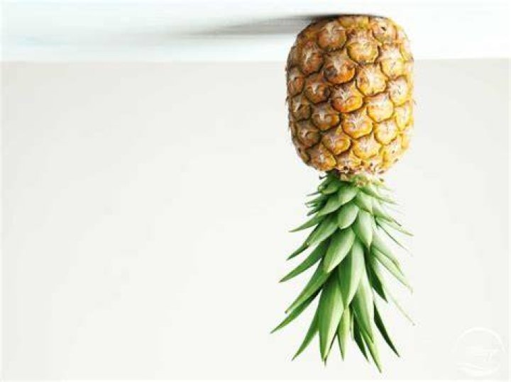 Why Does An Upside Down Pineapple Mean? – Celebrity