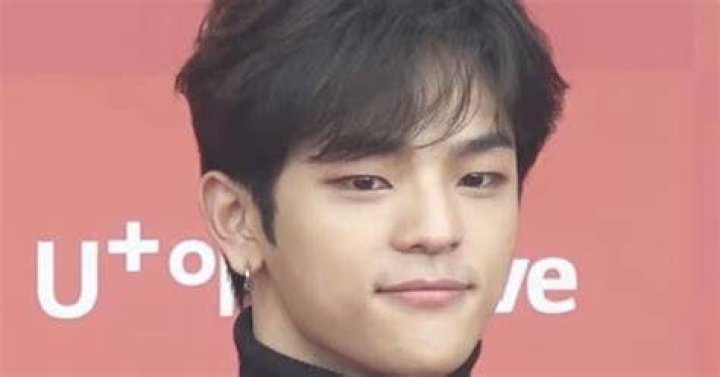 Why Was Woojin Kicked Stray Kids? – Celebrity