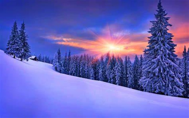 winter's-tale