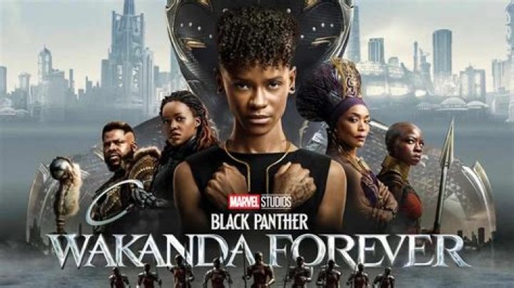 With ‘Wakanda Forever’ now on Disney Plus, when can we expect the next ‘Black Panther’ movie or series?