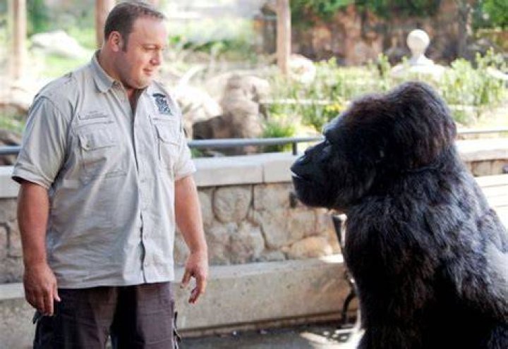 Zookeeper Review